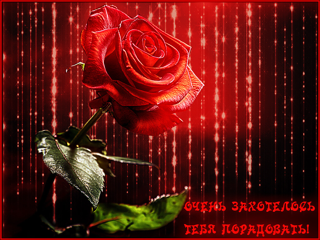 Насекомые картинки, открытки анимация хочу